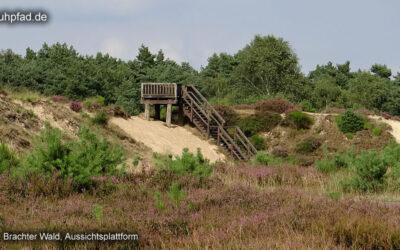 Brachter Wald