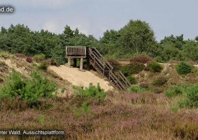 Brachter Wald