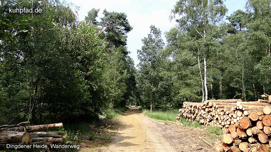 Dingdener Heide