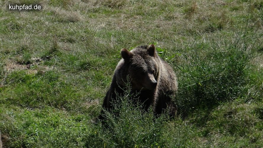 Gangelt Wildpark