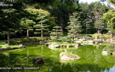 Japanischer Garten Düsseldorf