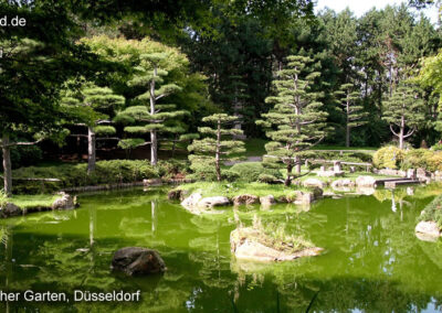 Japanischer Garten