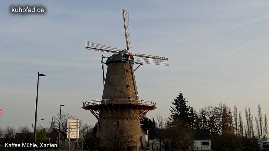 Kaffee Mühle