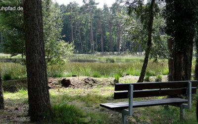 Naturpark Maas Schwalm Nette