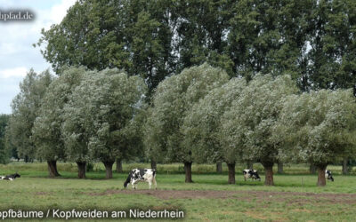 Urlaub in der Region Niederrhein