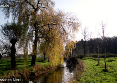 Flüsschen Niers