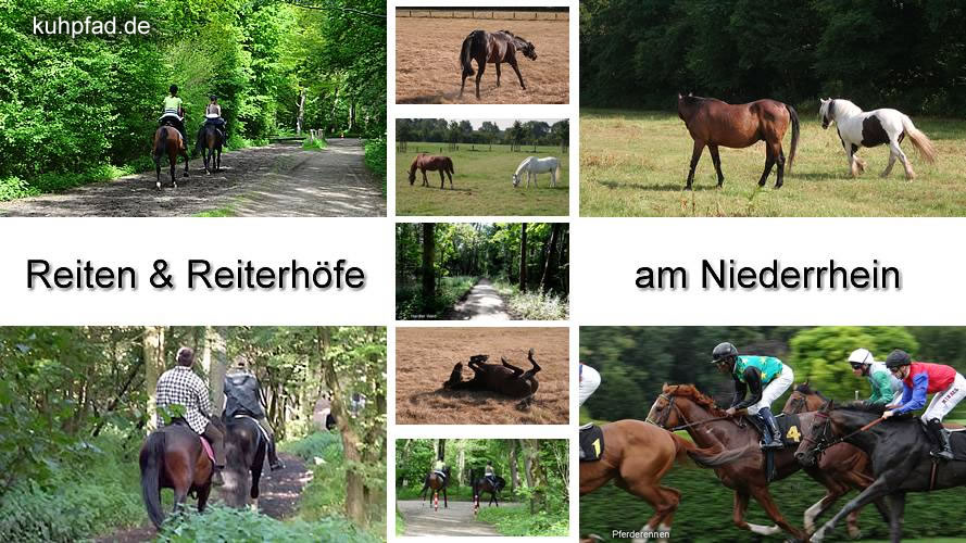 Reiten