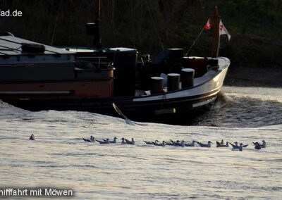 Rhein Rheinschiff