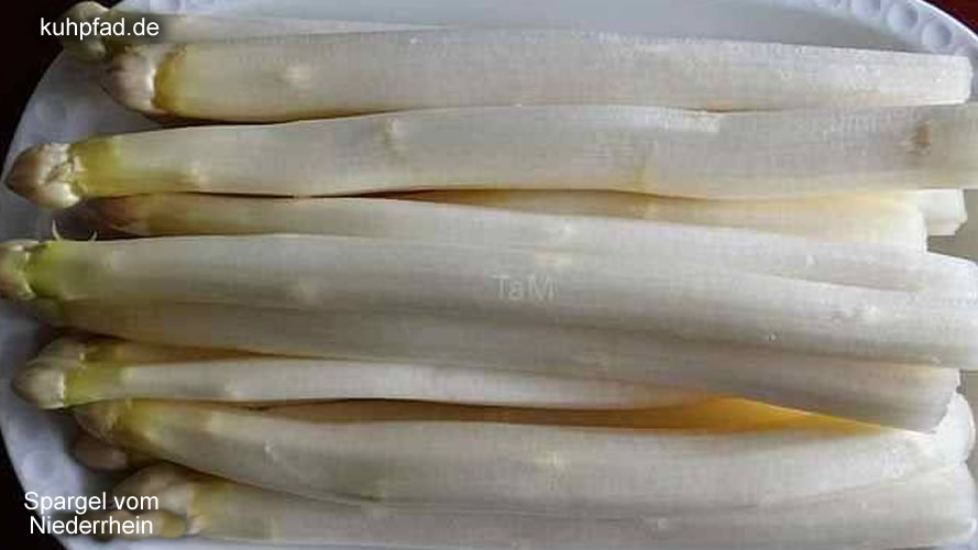 Spargel