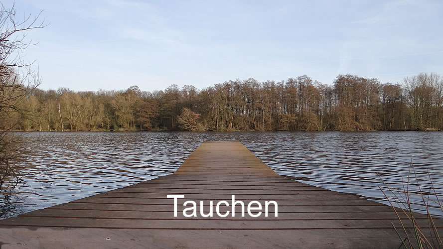 Tauchen