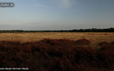 Venloer Heide