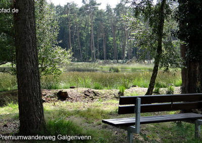 Wanderweg Galgenvenn