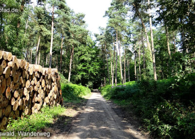 Wanderweg Reichswald