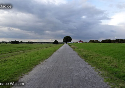 Wanderweg Rheinaue Walsum