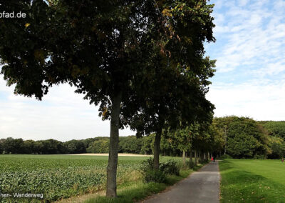 Wanderweg Süchtelner Höhen