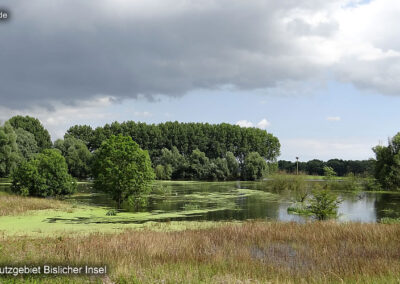 Bislicher Insel