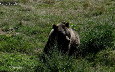 Wildpark Gangelt