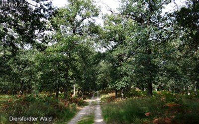 Naturpark Hohe Mark