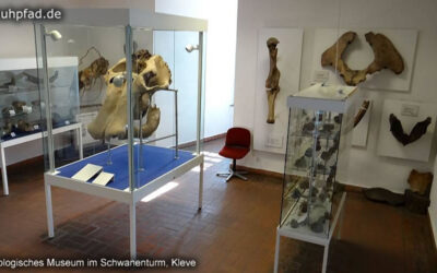 Geologisches Museum Kleve