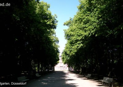 Hofgarten Düsseldorf