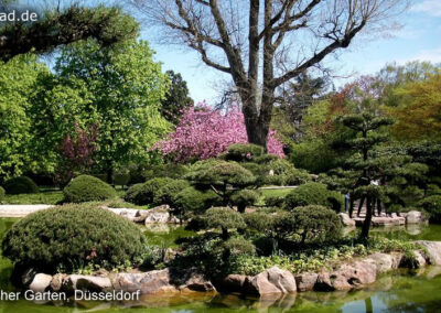 Japanischer Garten Düsseldorf