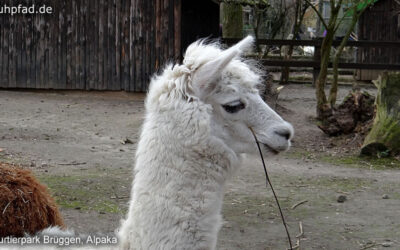 Natur- und Tierpark Brüggen