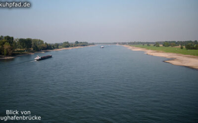 Segeln auf dem Rhein