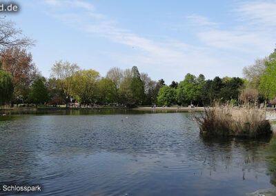 Teich Schlosspark Moers