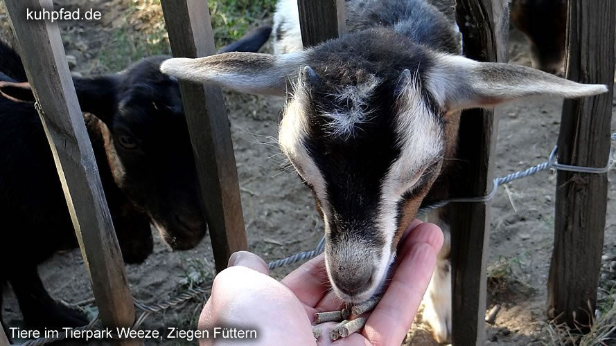 Tierpark Weeze