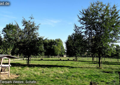 Tierpark Weeze