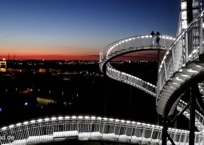 Tiger Turtle Duisburg