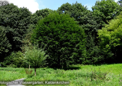 Wassergarten Kaldenkirchen