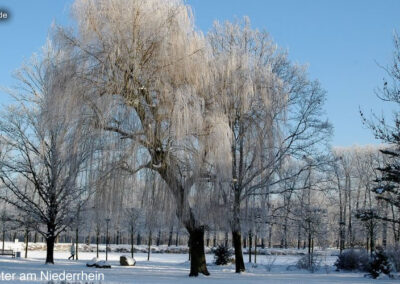 Winter am Niederrhein