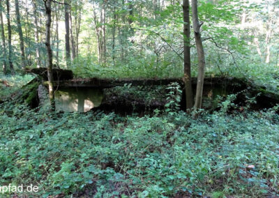 Bunker im Waldgebiet Hees