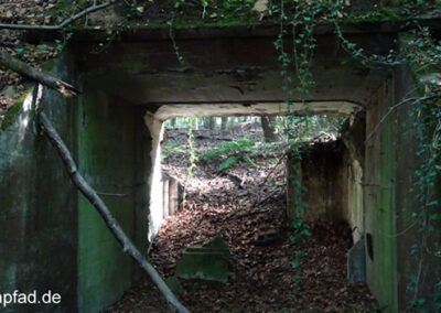 Bunker im Waldgebiet Hees