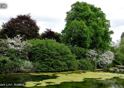 Burgpark Linn