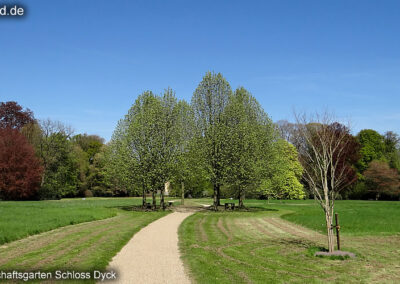 Landschaftsgarten Schloss Dyck