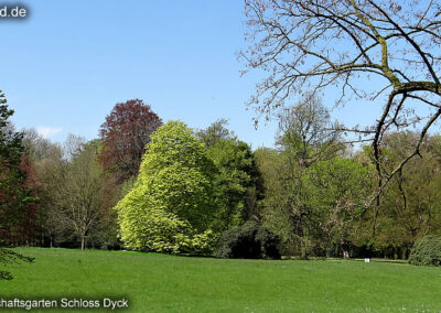 Landschaftsgarten Schloss Dyck