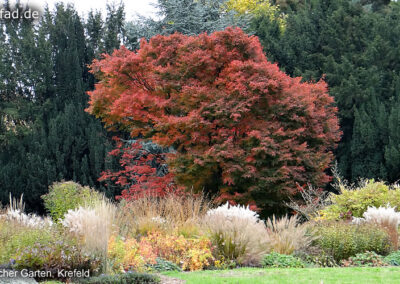 Botanischer Garten Krefeld