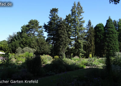 Botanischer Garten Krefeld