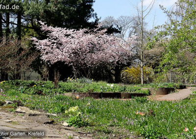 Botanischer Garten Krefeld