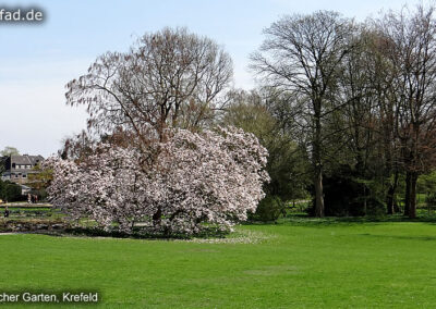 Botanischer Garten Krefeld