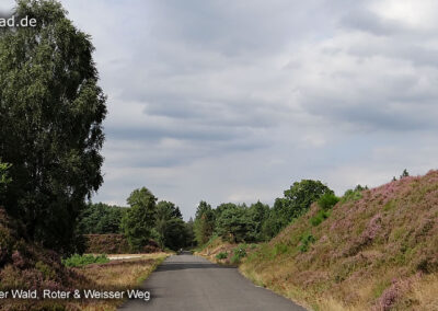 Brachter Wald