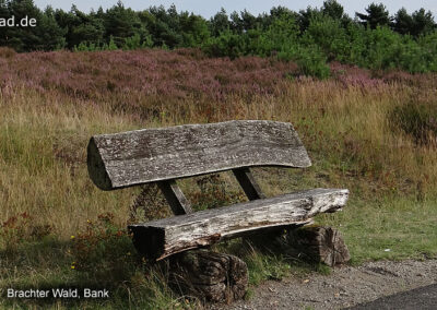 Brachter Wald