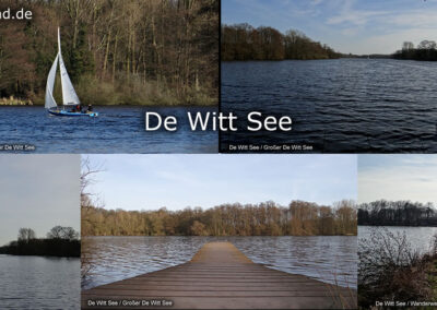 De Witt See