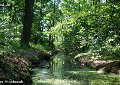 Der Meerbusch