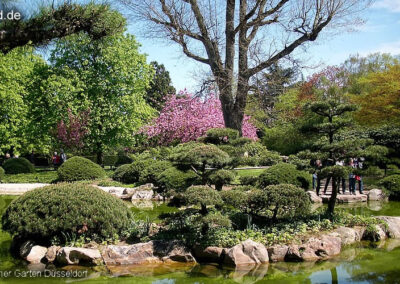 Japanischer Garten Düsseldorf