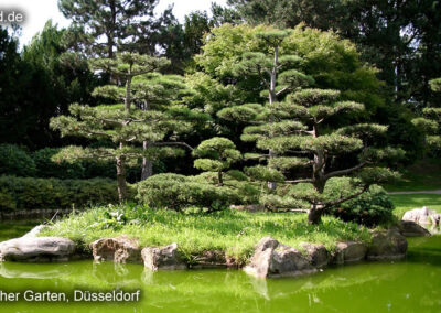 Japanischer Garten Düsseldorf