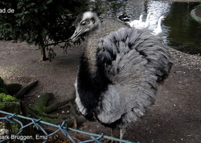 Natur- und Tierpark Brüggen