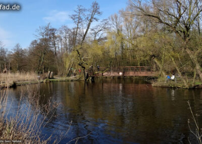 Rohrdommelprojekt Nettetal